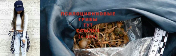 PSILOCYBIN Бежецк