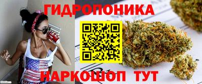 PSILOCYBIN Будённовск