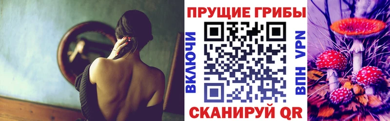 kraken как войти  купить   Моздок  Галлюциногенные грибы Psilocybe 
