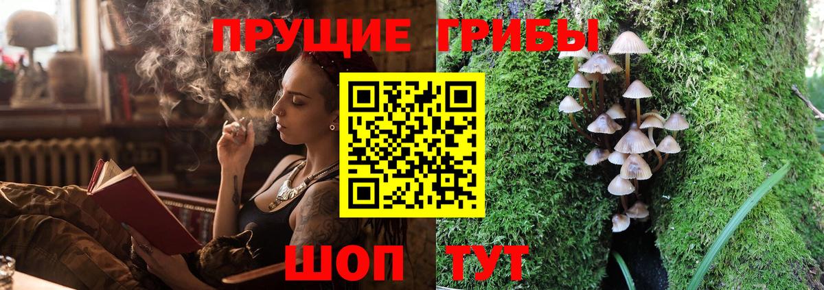 Псилоцибиновые грибы мухоморы  Моздок  Галлюциногенные грибы Magic Shrooms 