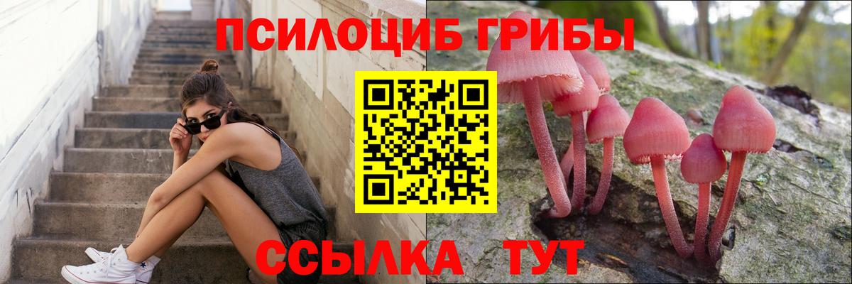 Галлюциногенные грибы мухоморы Моздок